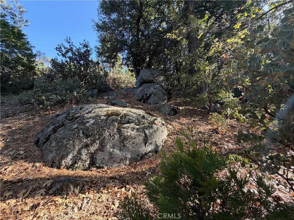 8 Big Rock Drive Property Photo 32