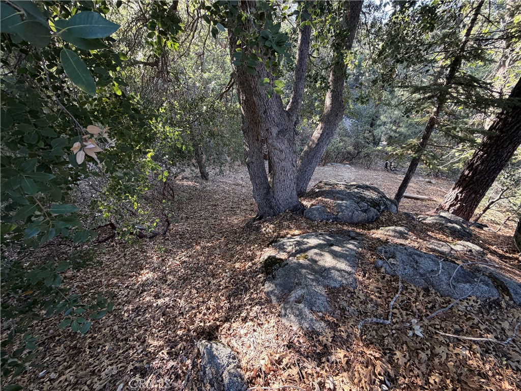 8 Big Rock Drive Property Photo 33