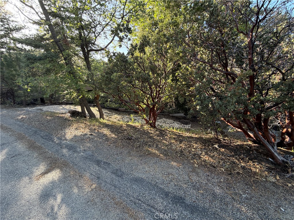 8 Big Rock Drive Property Photo 34