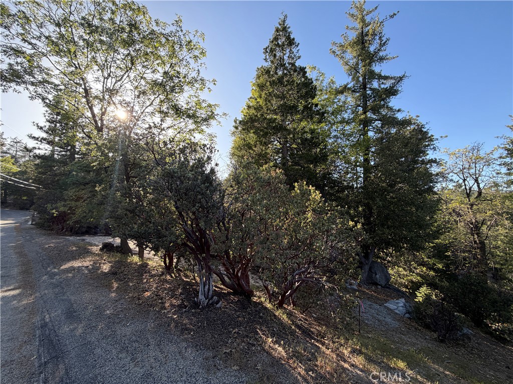 8 Big Rock Drive Property Photo 35