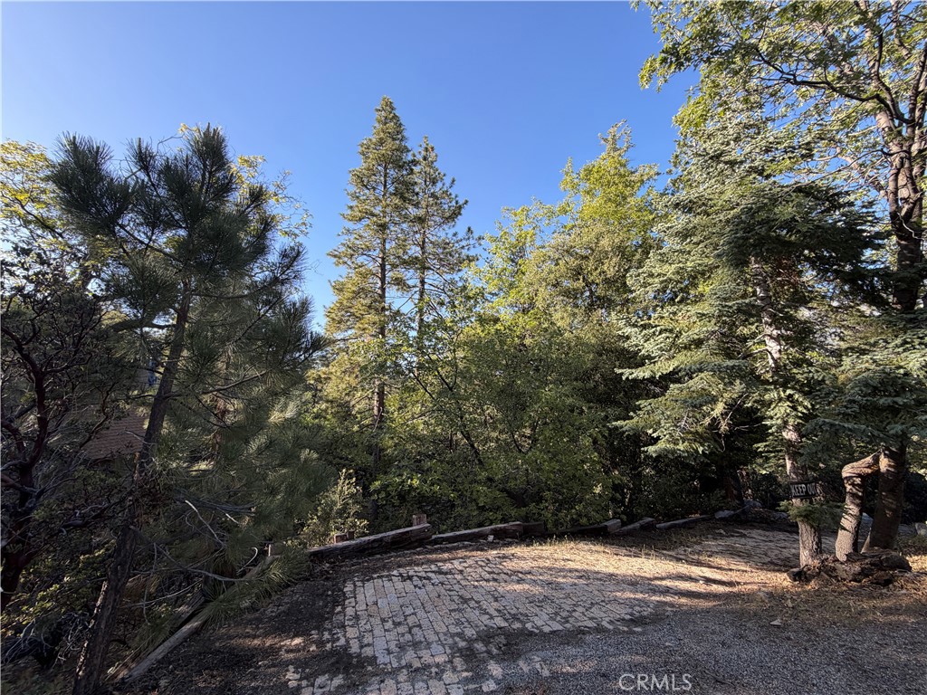 8 Big Rock Drive Property Photo 37