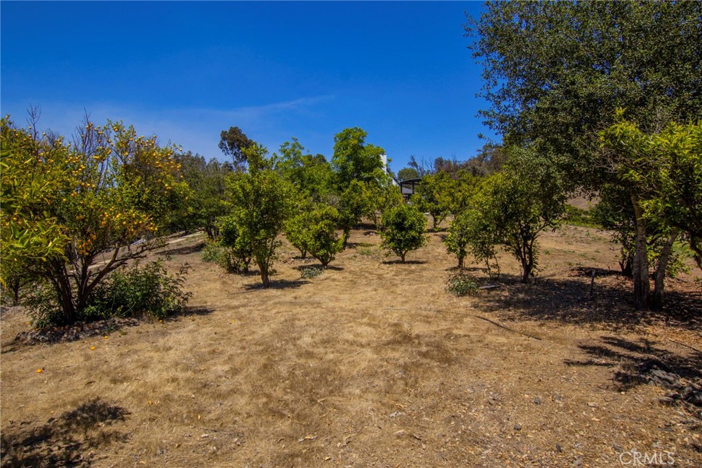 42525 Calle Capistrano Property Photo 51