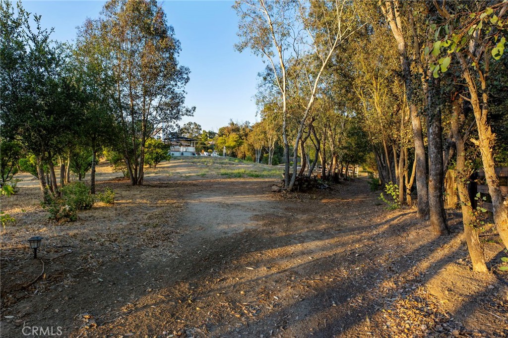 42525 Calle Capistrano Property Photo 57