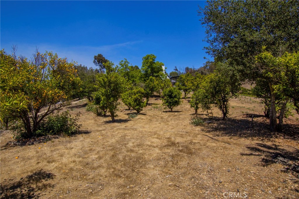 42525 Calle Capistrano Property Photo 58
