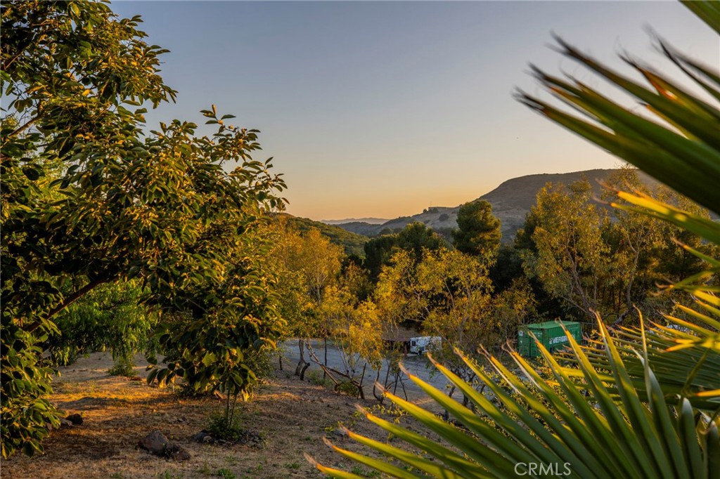 42525 Calle Capistrano Property Photo 59