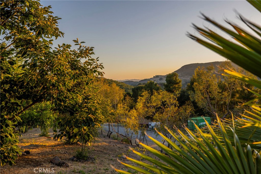 42525 Calle Capistrano Property Photo 65
