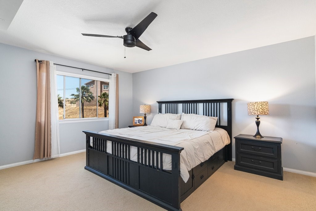 40575 Calle Fiesta Property Photo 15