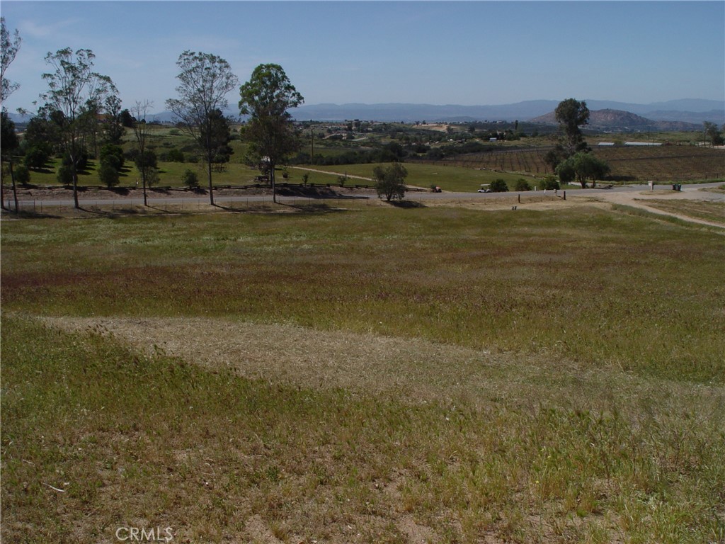 38400 San Ignacio Property Photo 8