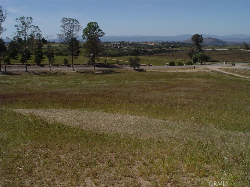 38400 San Ignacio Property Photo 9