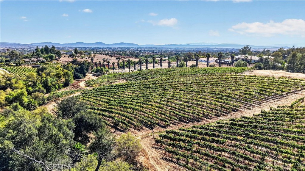 38623 Martin Ranch Road Property Photo 4