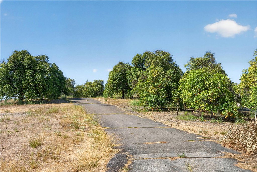 38623 Martin Ranch Road Property Photo 7