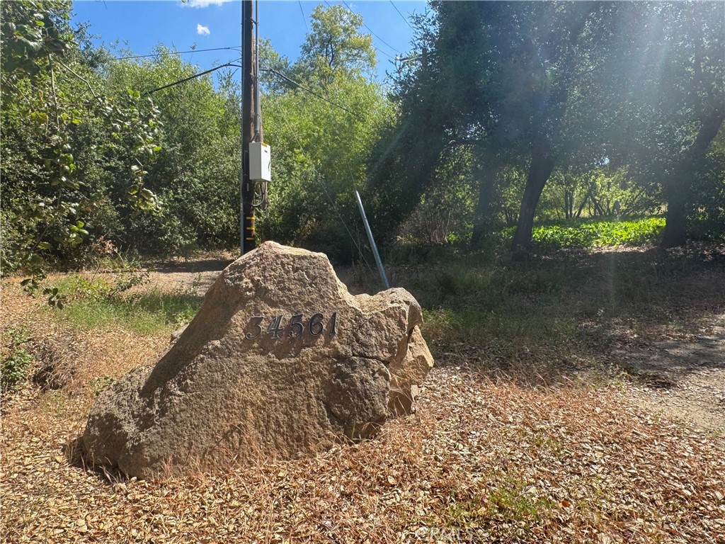 34561 S Main Divide Property Photo 6