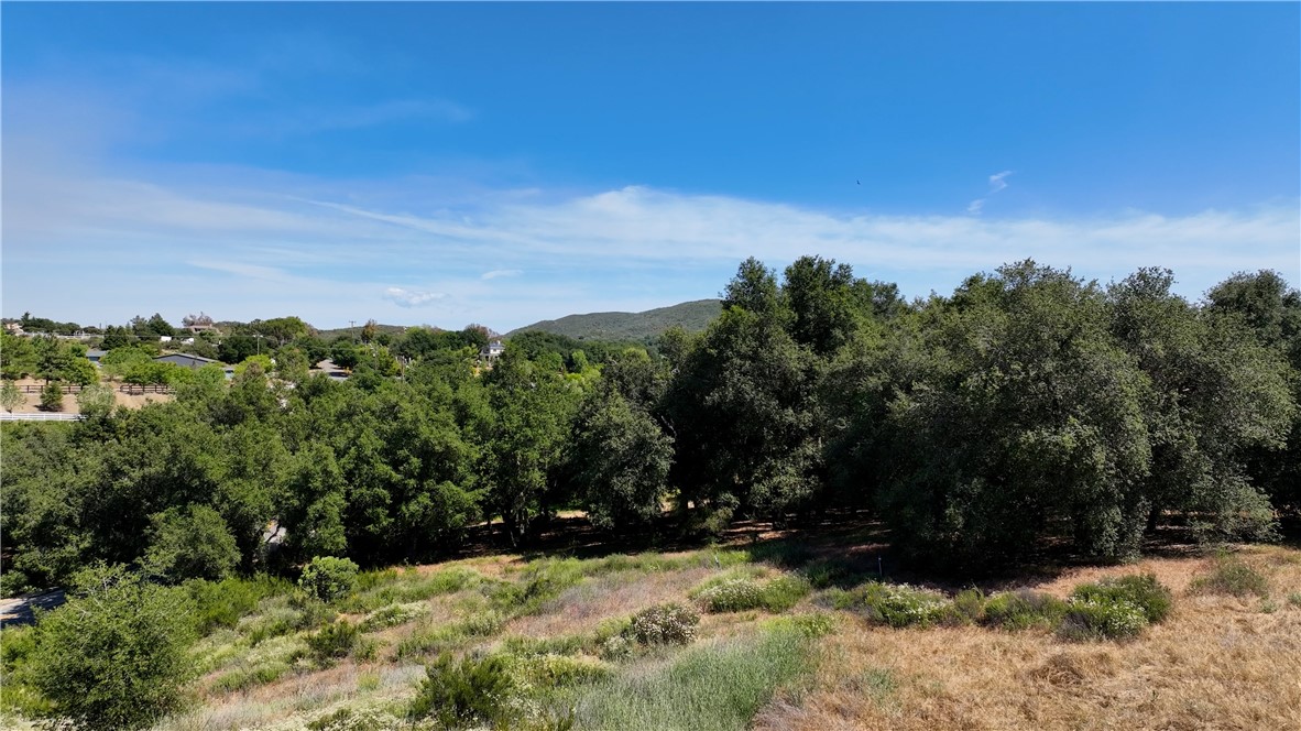 34561 S Main Divide Property Photo 7