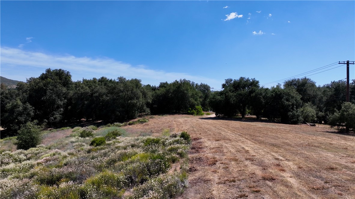 34561 S Main Divide Property Photo 8