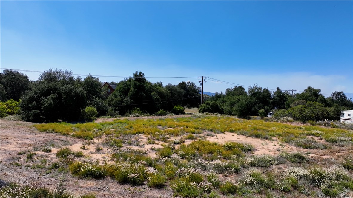 34561 S Main Divide Property Photo 13