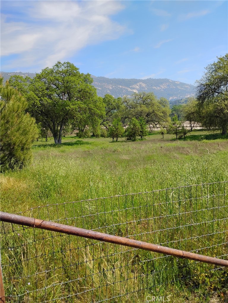 35400 Spanish Oak Property Photo 1