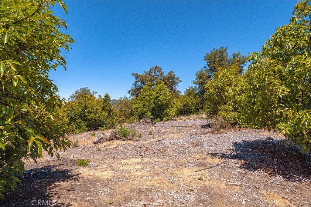 3738 Camaron Rd Property Photo 18