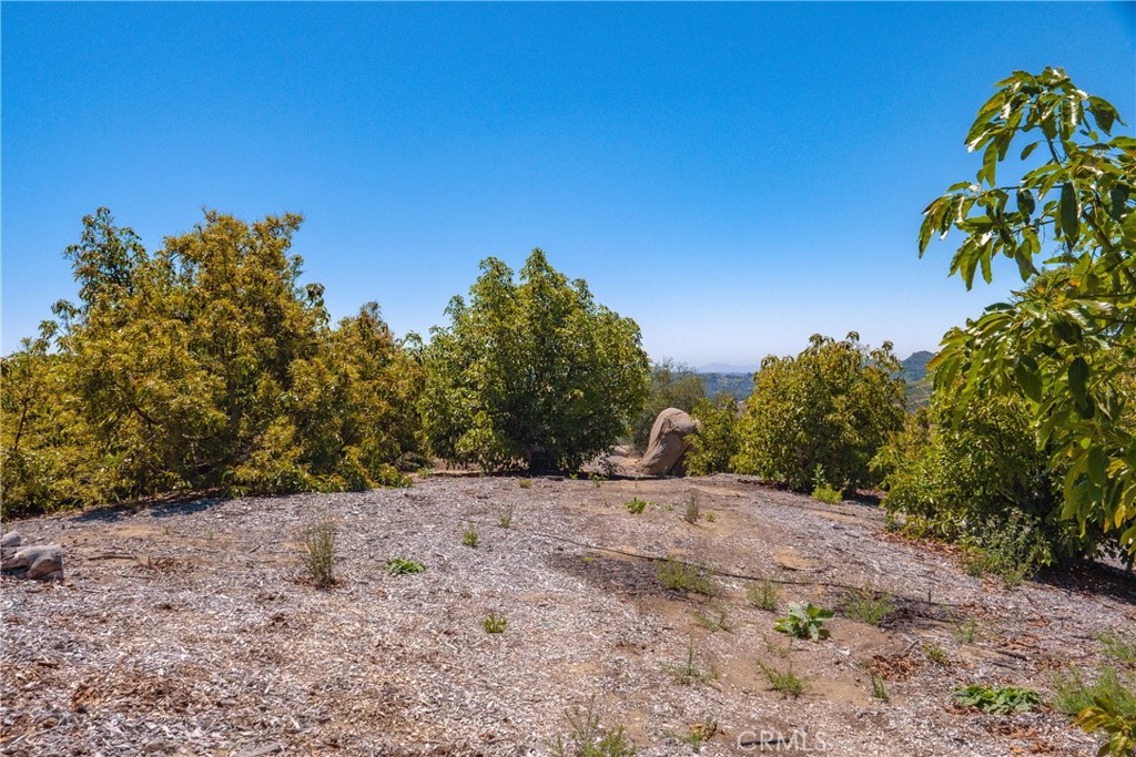 3738 Camaron Rd Property Photo 20