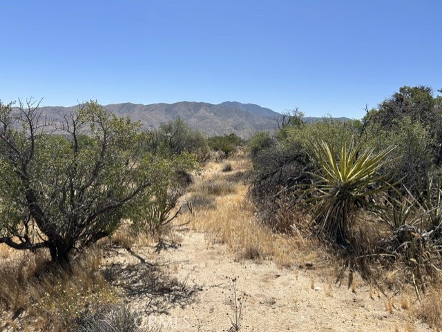7 Carrizo Road Property Photo 3