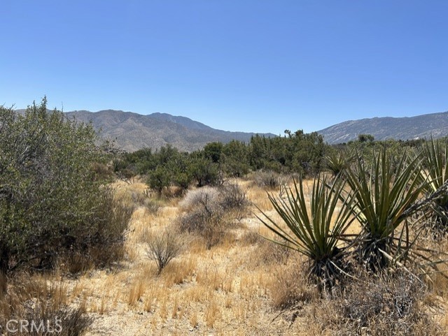 7 Carrizo Road Property Photo 4