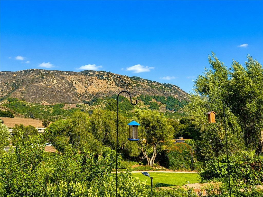 3252 Via Altamira Property Photo 2