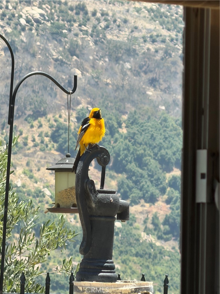 3252 Via Altamira Property Photo 30