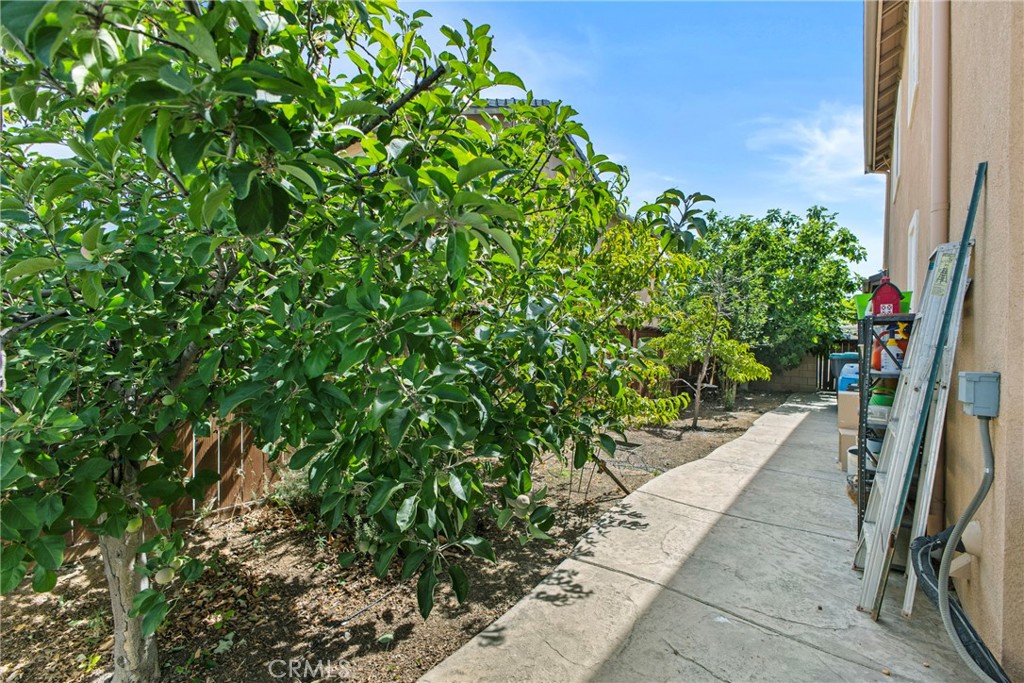 29949 Fox Creek Property Photo 37