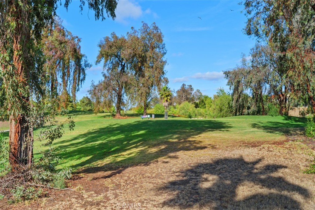 38286 Members Club Drive Property Photo 29