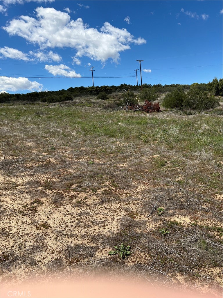 0 Scouts Lane Property Photo 3