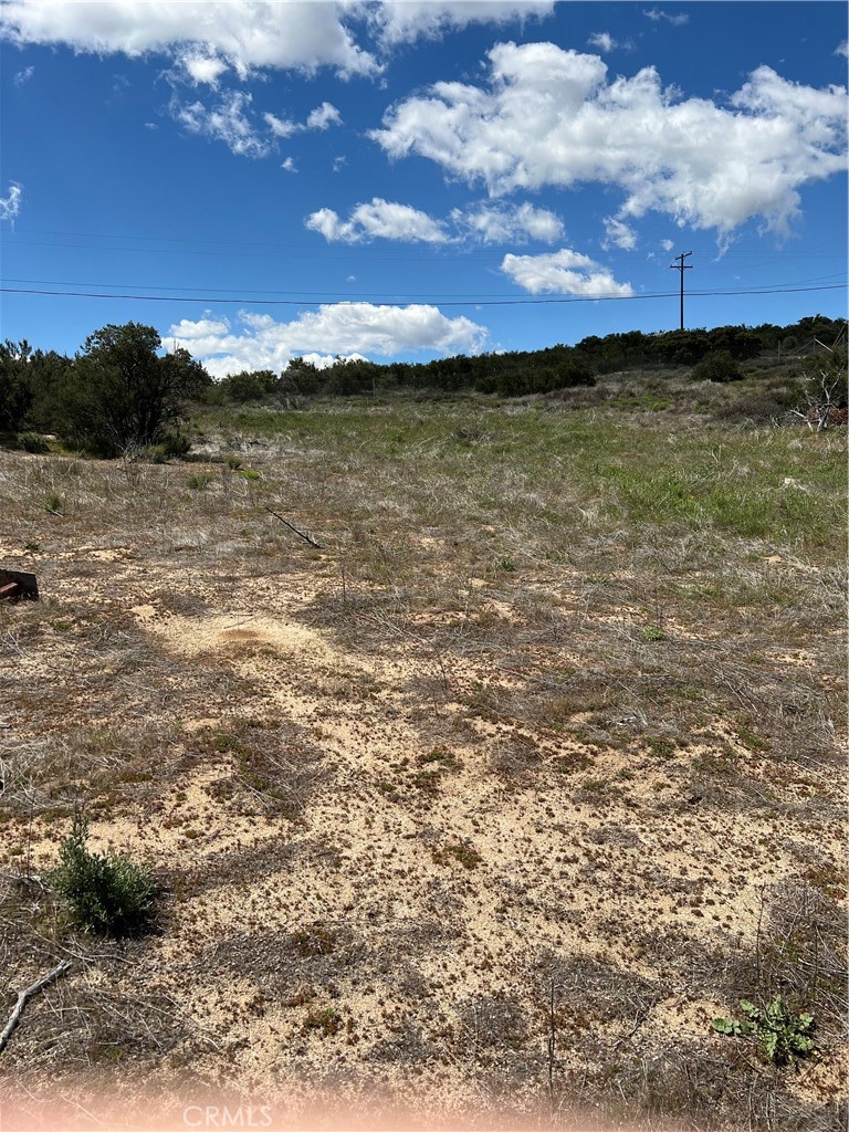0 Scouts Lane Property Photo 4