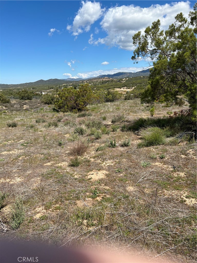 0 Scouts Lane Property Photo 6