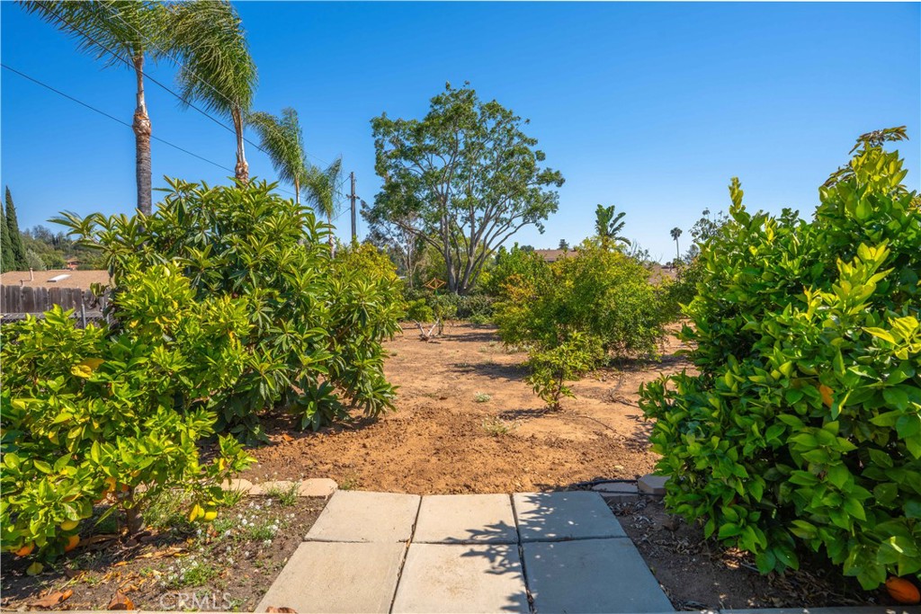 1611 Hillcrest Property Photo 48