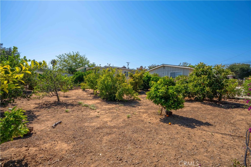 1611 Hillcrest Property Photo 49