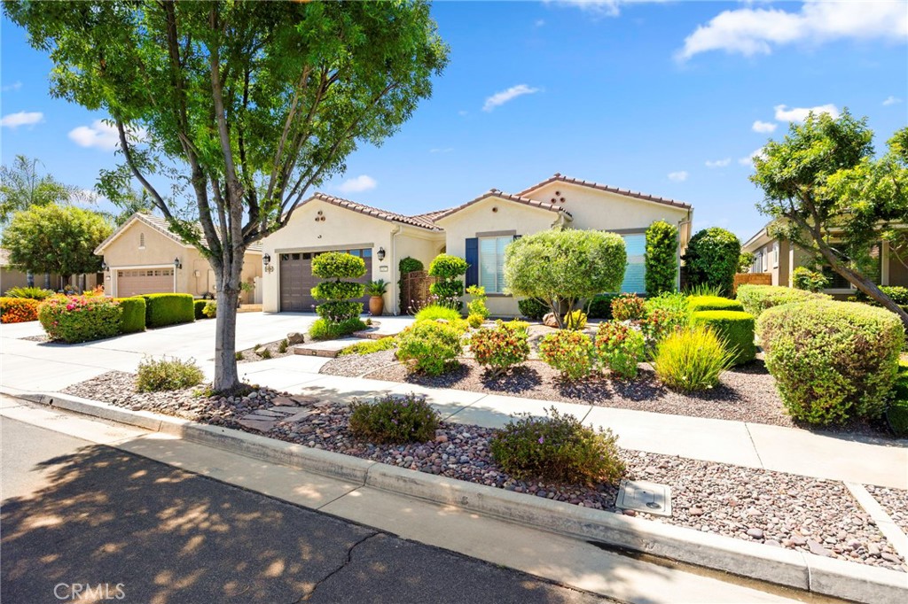 5267 Paseo Callado Property Photo 2