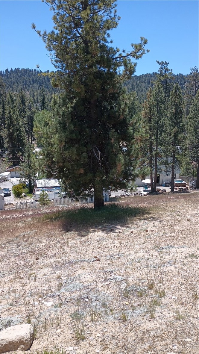 39237 Crest Lane Property Photo 1