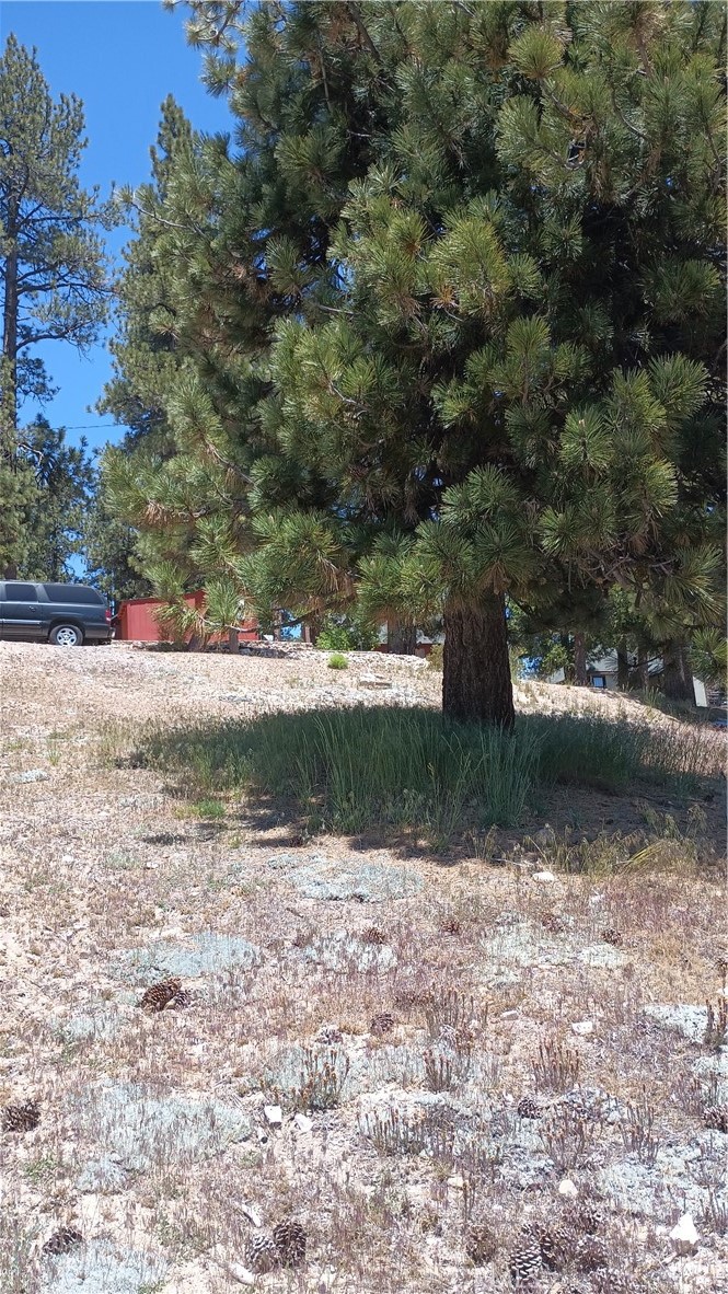 39237 Crest Lane Property Photo 2
