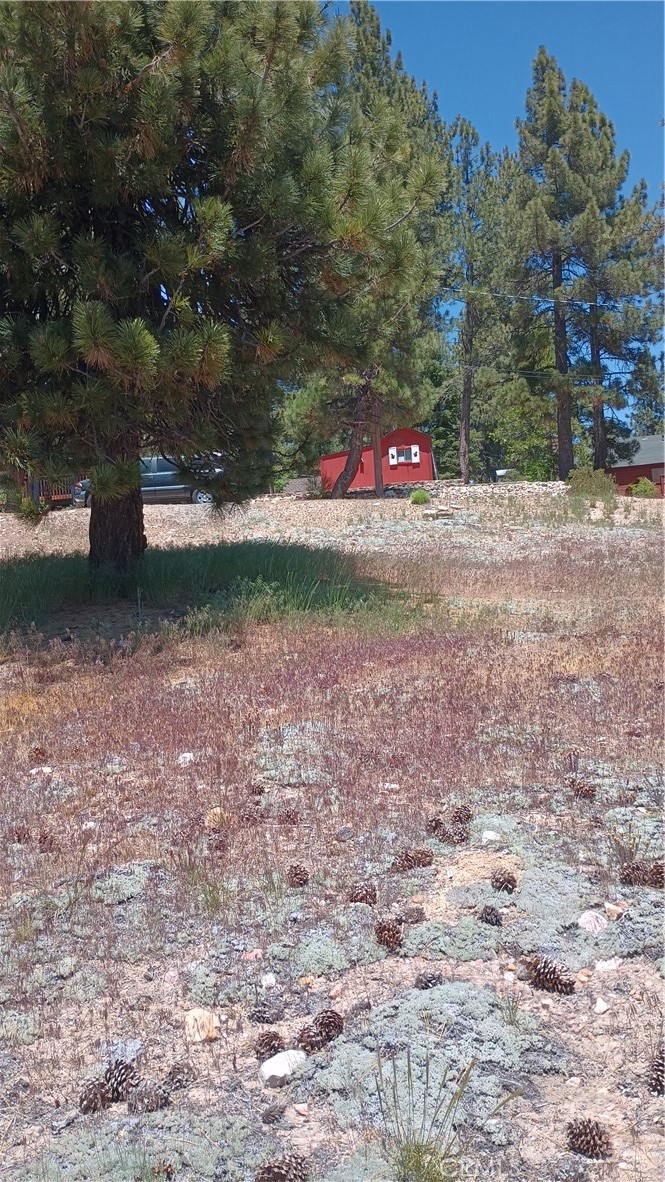 39237 Crest Lane Property Photo 3