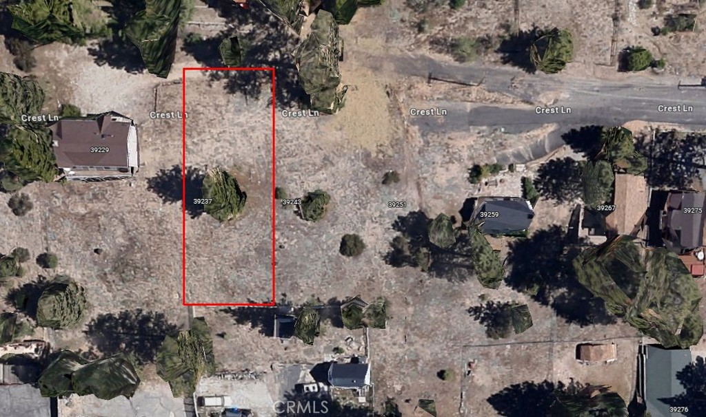 39237 Crest Lane Property Photo 5