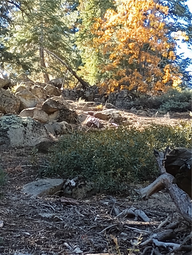 0 Cherry Property Photo 2