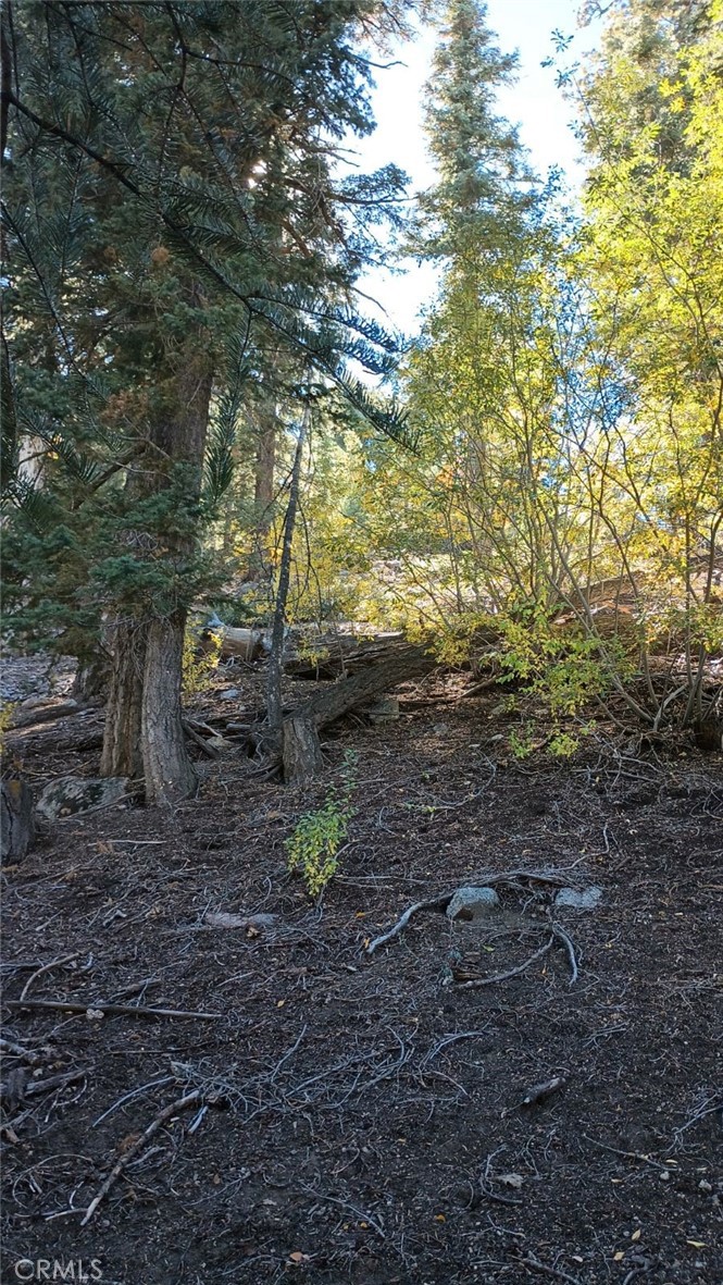 0 Cherry Property Photo 3