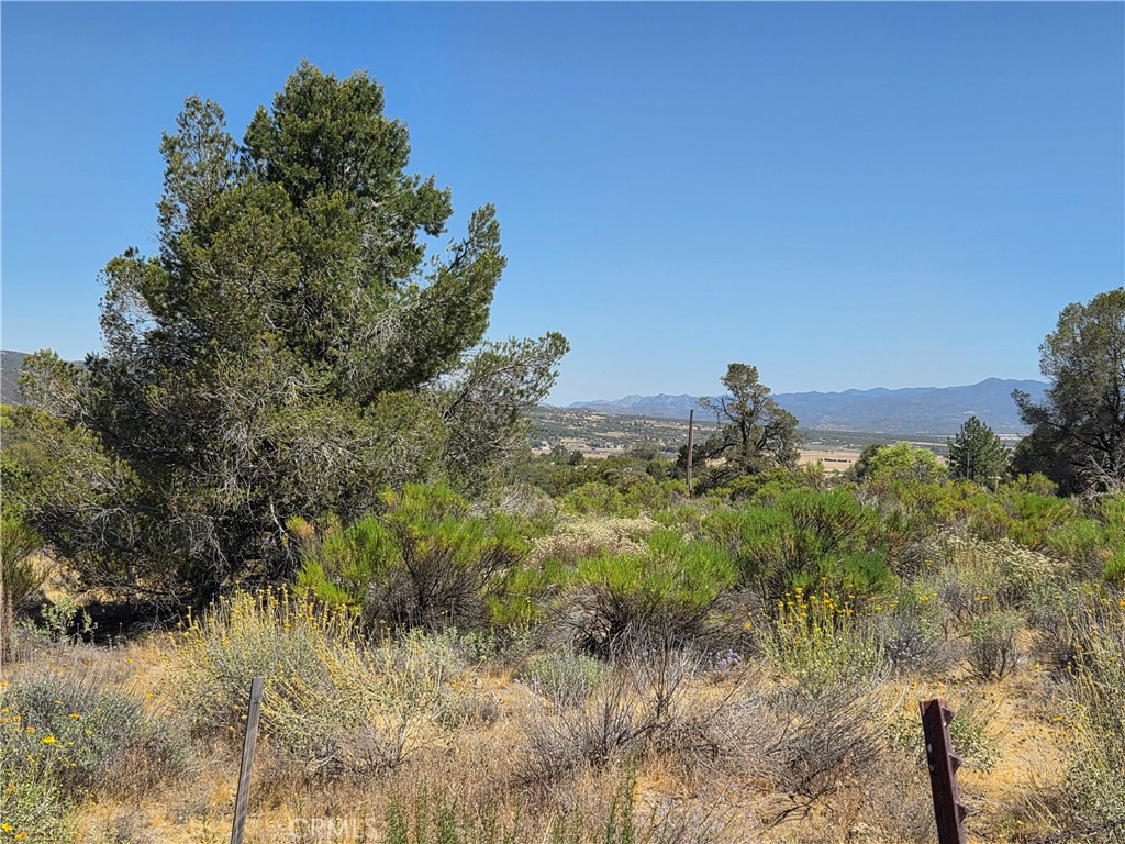37310 Bohlen Property Photo 2