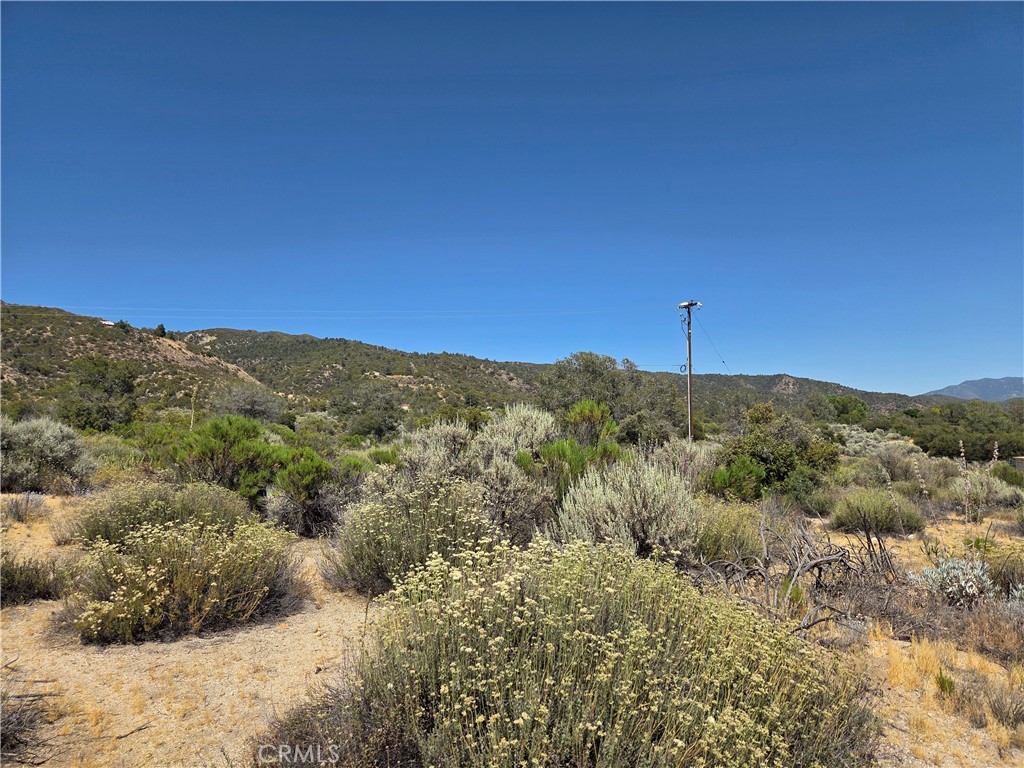 37310 Bohlen Property Photo 3