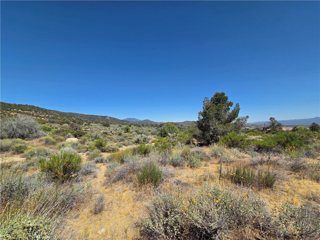 37310 Bohlen Property Photo 4