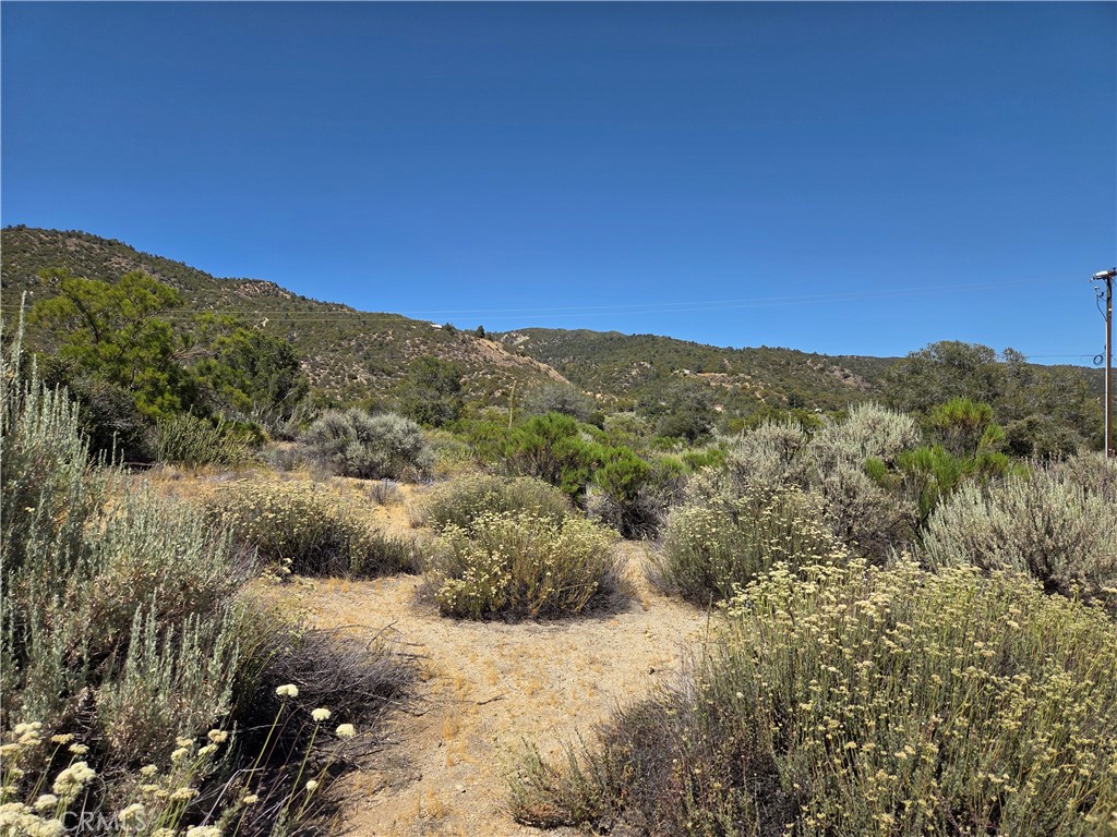 37310 Bohlen Property Photo 5