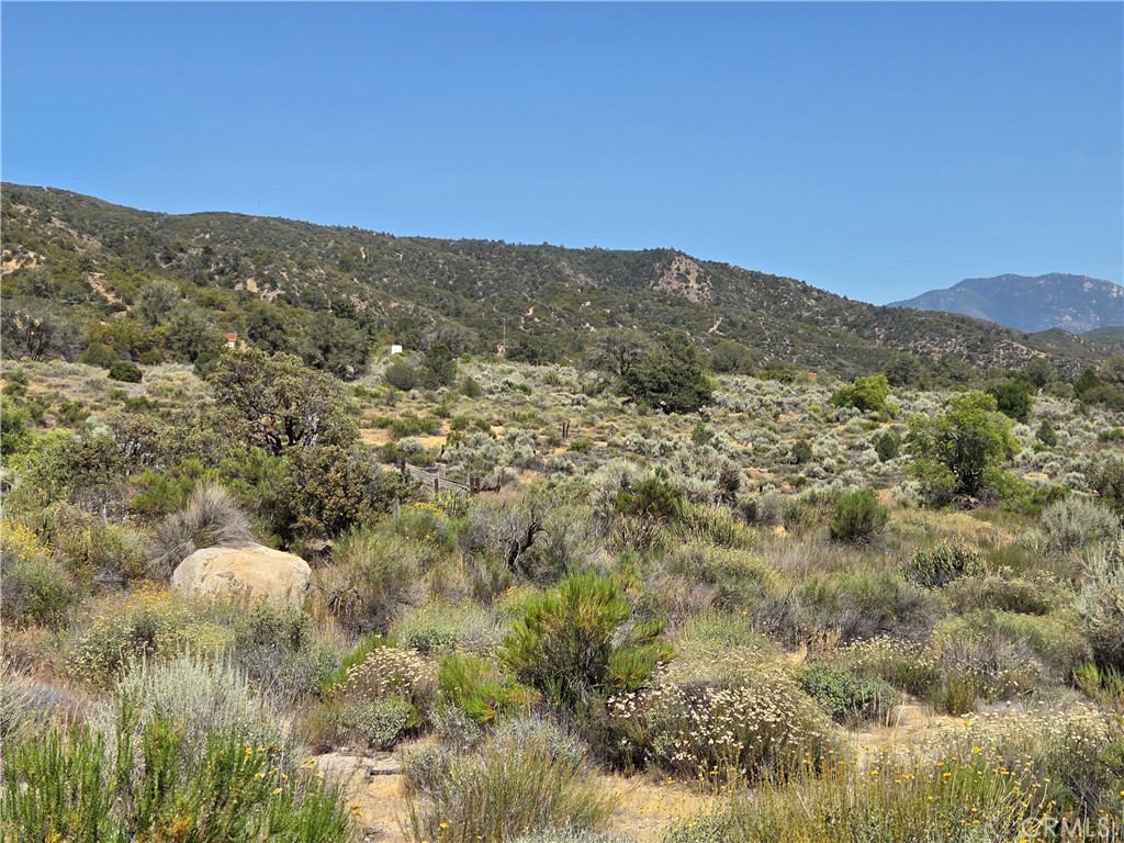 37310 Bohlen Property Photo 7