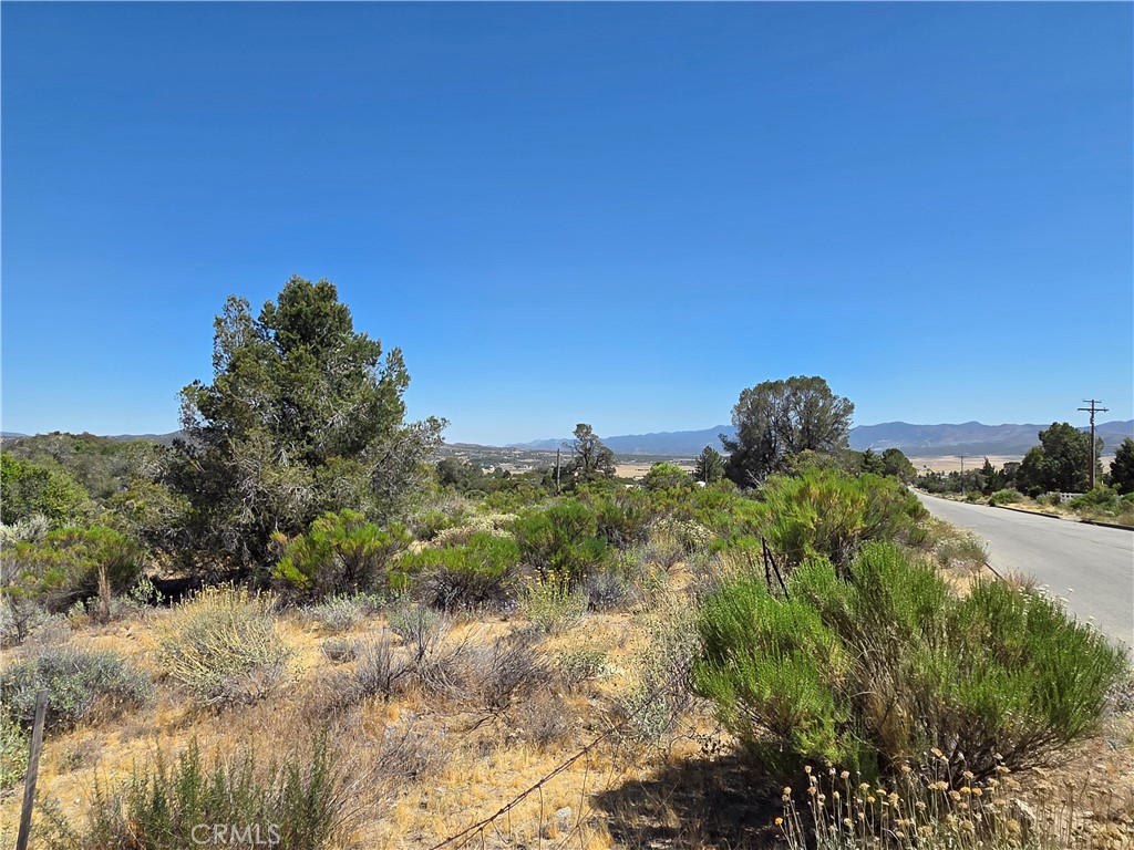 37310 Bohlen Property Photo 8