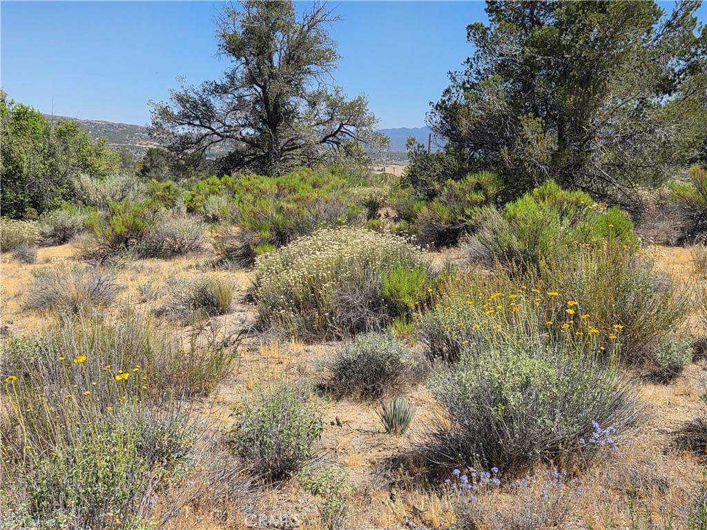37310 Bohlen Property Photo 9