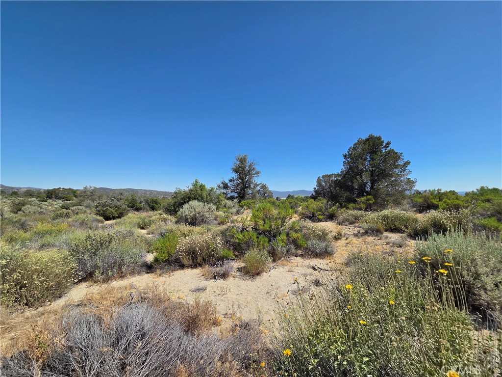 37310 Bohlen Property Photo 10