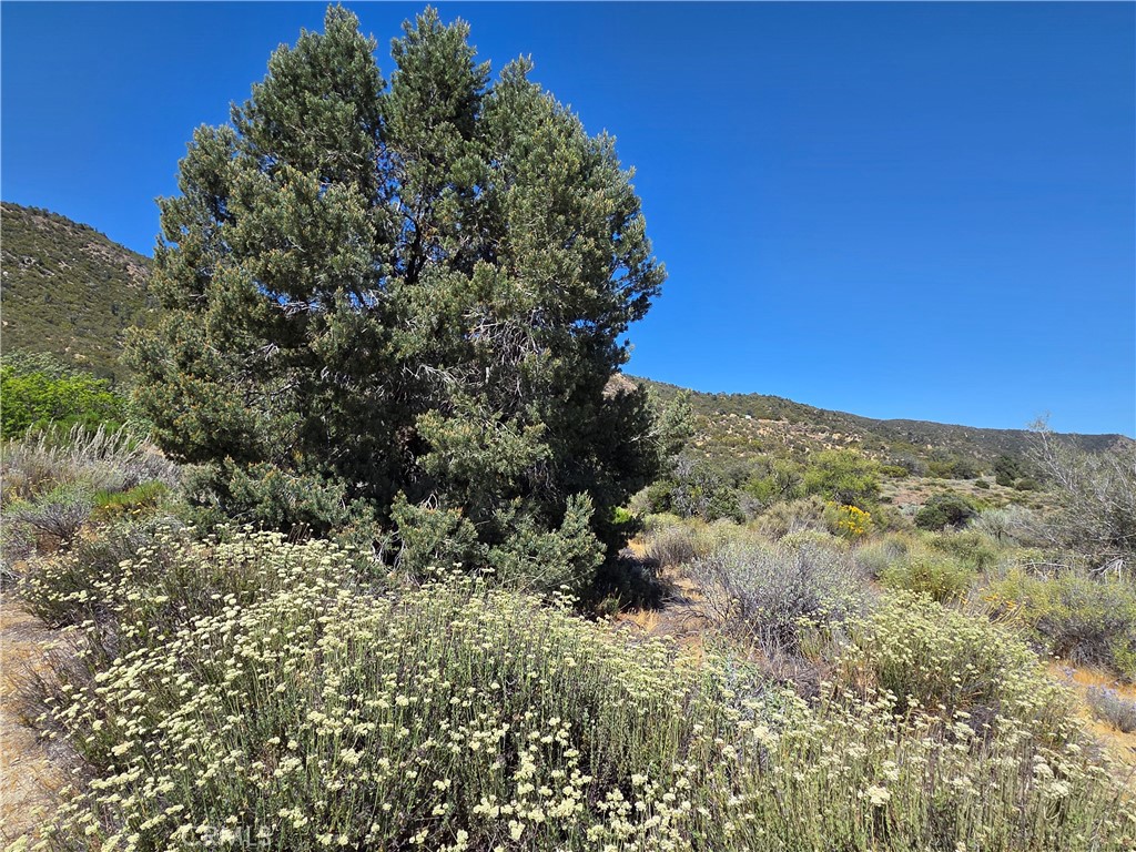 37210 Bohlen Property Photo 2