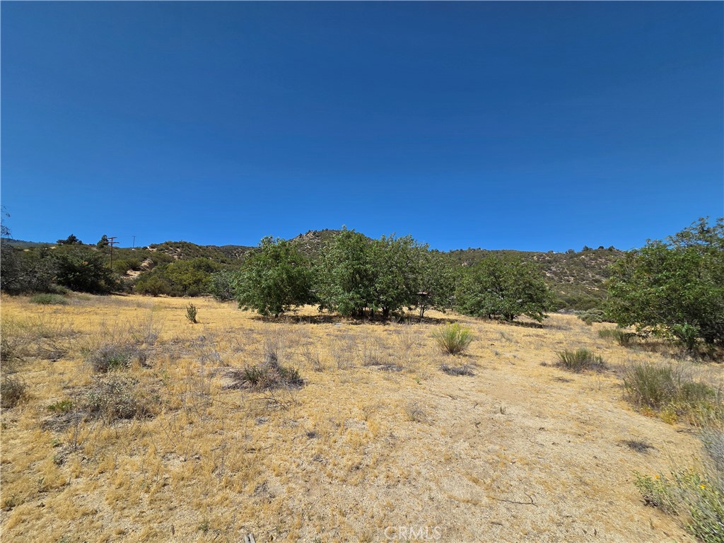 37210 Bohlen Property Photo 3